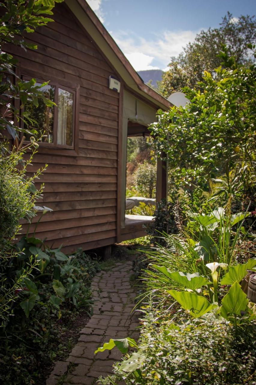 סטורמסריבייר Pear Tree Cottage מראה חיצוני תמונה