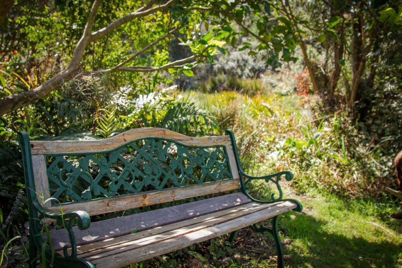 סטורמסריבייר Pear Tree Cottage מראה חיצוני תמונה